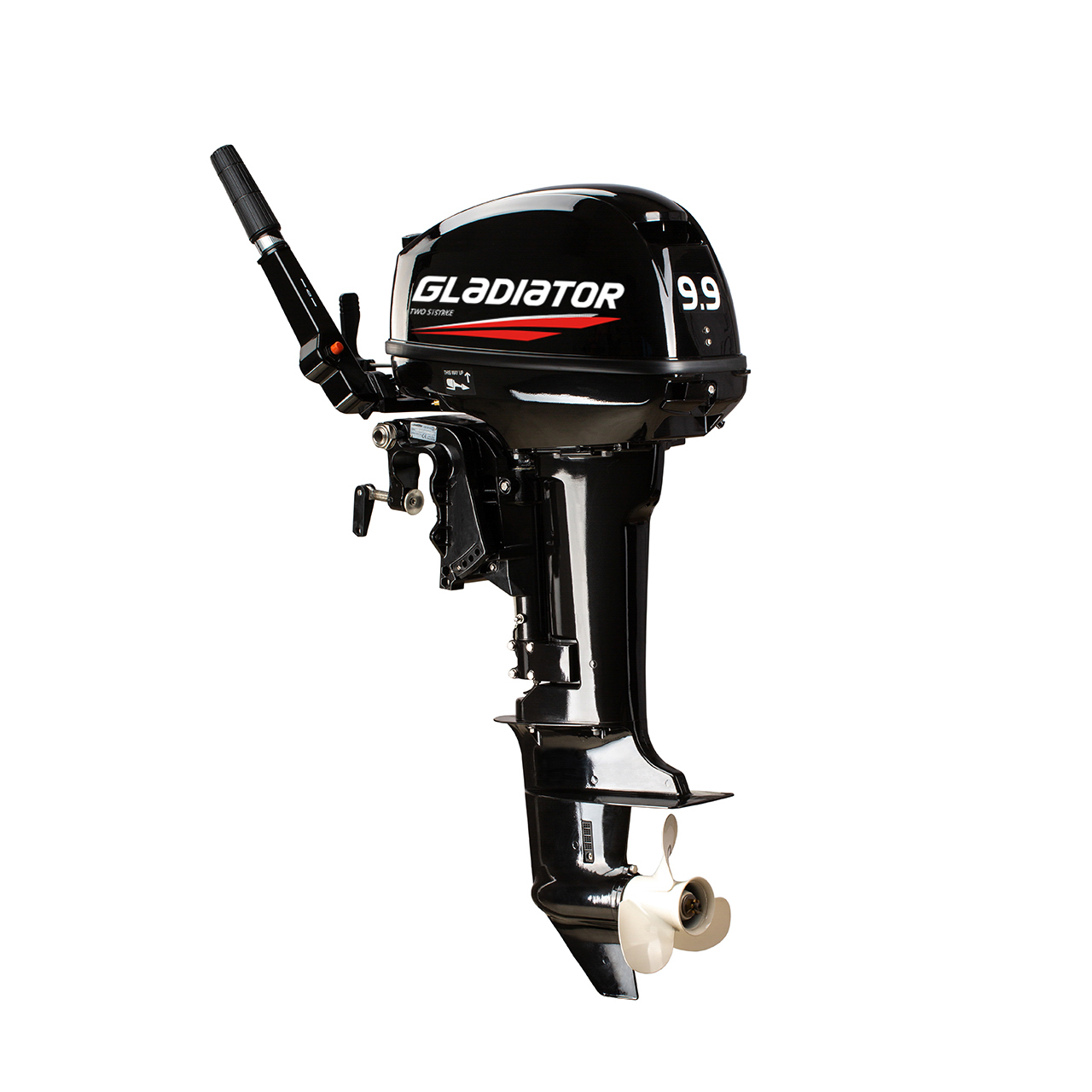 ЛОДОЧНЫЙ МОТОР GLADIATOR G9.9FHS в Саранске