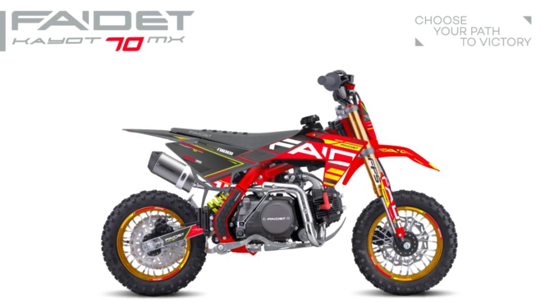 Питбайк FAIDET KAYOT 70 12/10 в Саранске