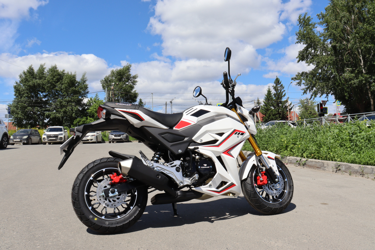 Мотоцикл PROMAX STRYKER 200(49) 2.0 в Саранске