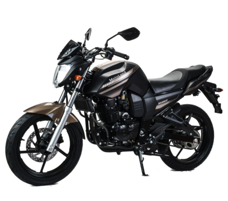 Мотоцикл MOTOLAND (МОТОЛЕНД) 300 BANDIT в Саранске