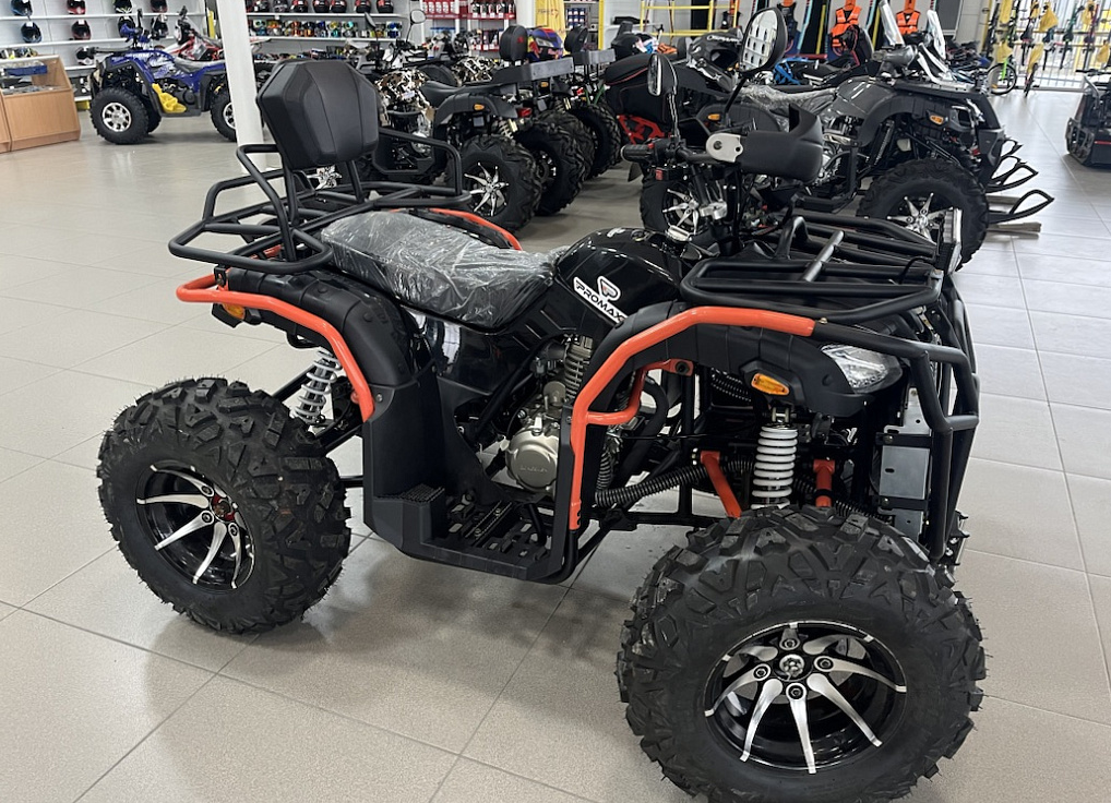 Квадроцикл PROMAX 300 4X4 ALL ROAD в Саранске