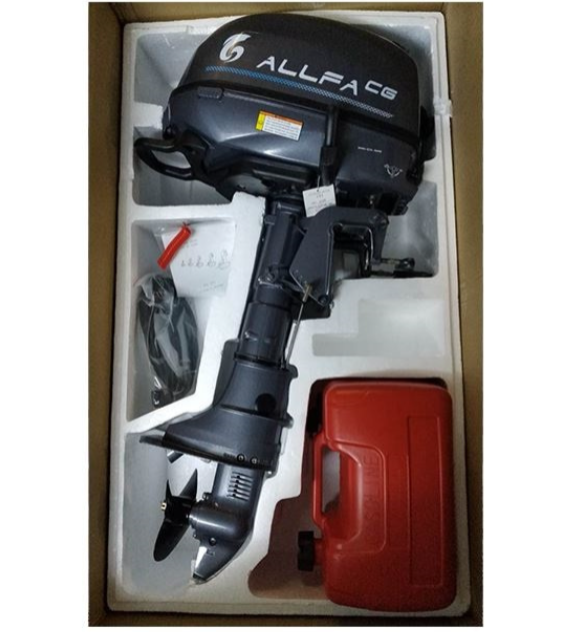 Лодочный мотор ALLFA CG F6 в Саранске