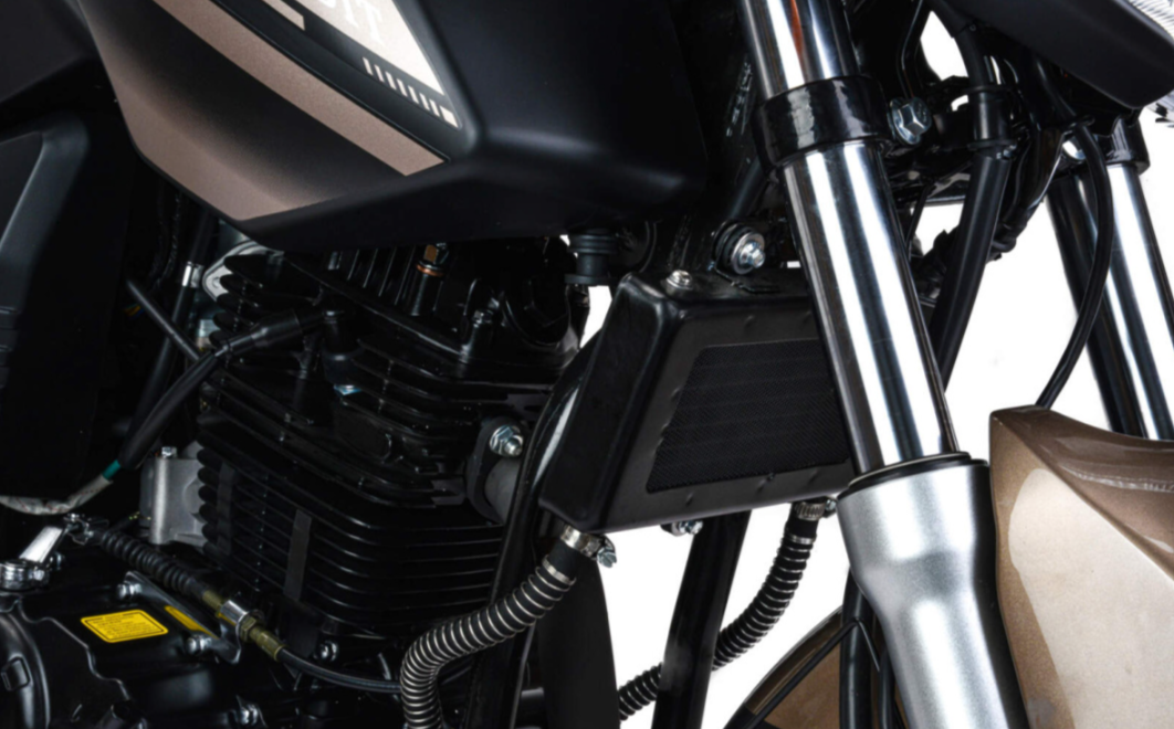 Мотоцикл MOTOLAND (МОТОЛЕНД) 300 BANDIT в Саранске