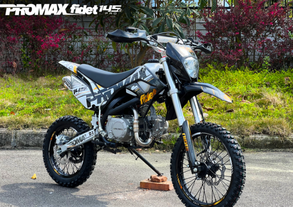 Мотоцикл (питбайк) PROMAX FIDET (ФАЙДЕТ) 145E PRO 17/14 в Саранске