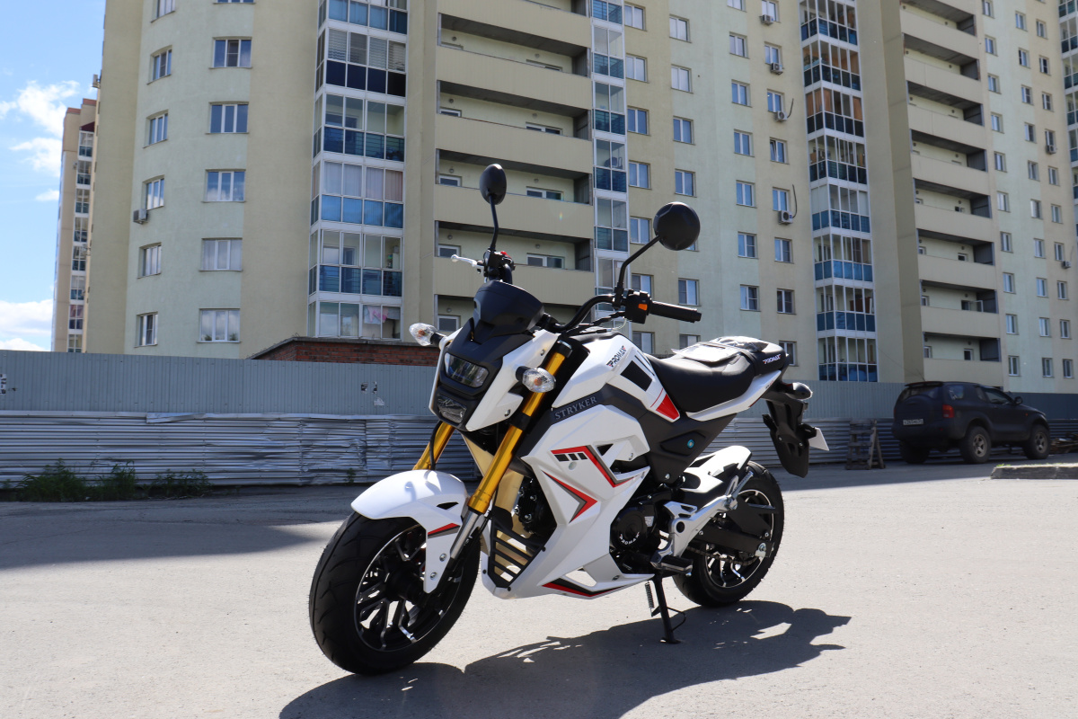 Мотоцикл PROMAX STRYKER 200(49) 2.0 в Саранске