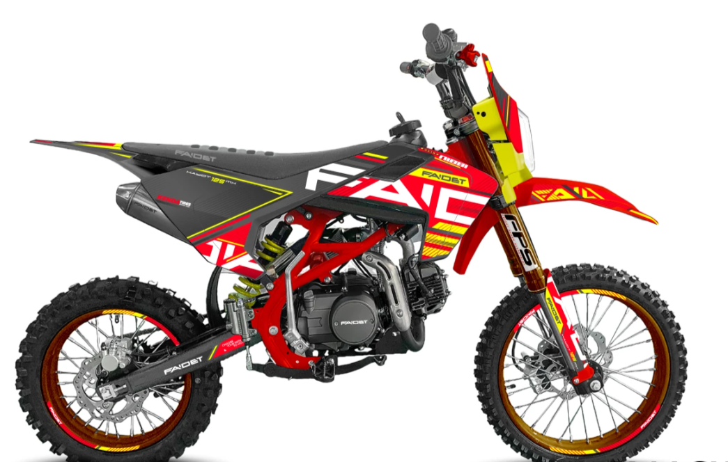 Питбайк FAIDET KAYOT 150E-PRO 19/16 в Саранске