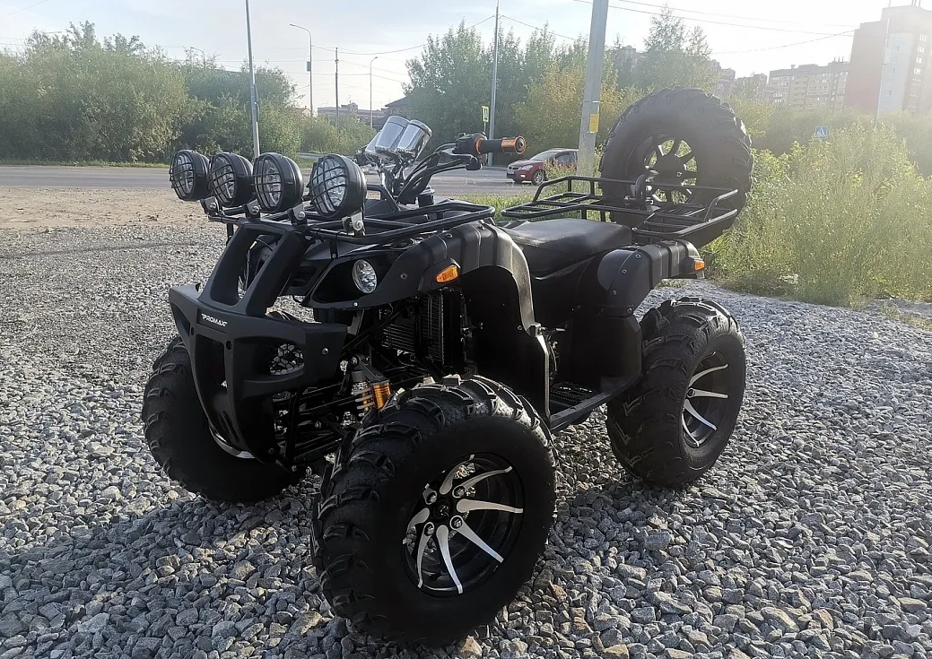 Квадроцикл PROMAX LEO 300 Max (кардан) в Саранске