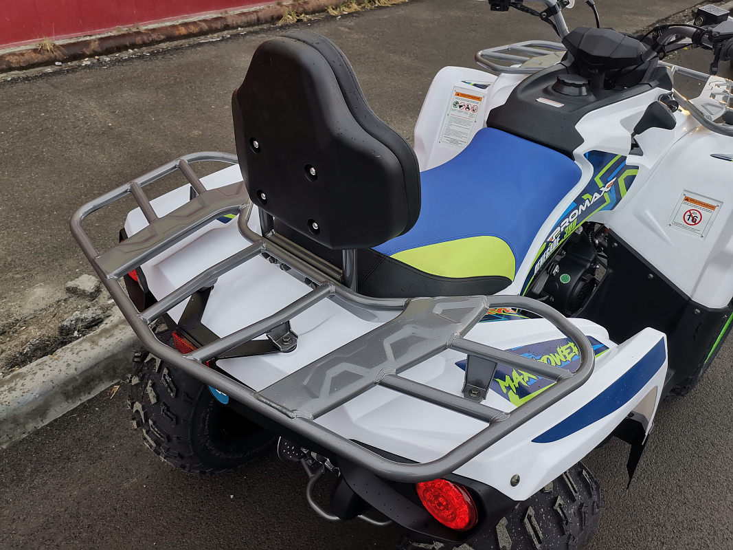 Квадроцикл PROMAX RENEGADE 280 LUX (2025) в Саранске