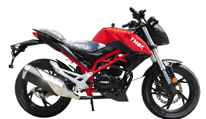 Мотоцикл TMBK Dukes 200cc в Саранске