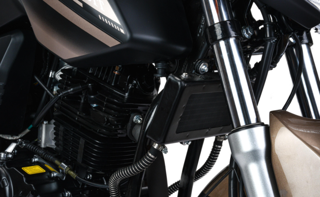 Мотоцикл MOTOLAND (МОТОЛЕНД) 300 BANDIT в Саранске