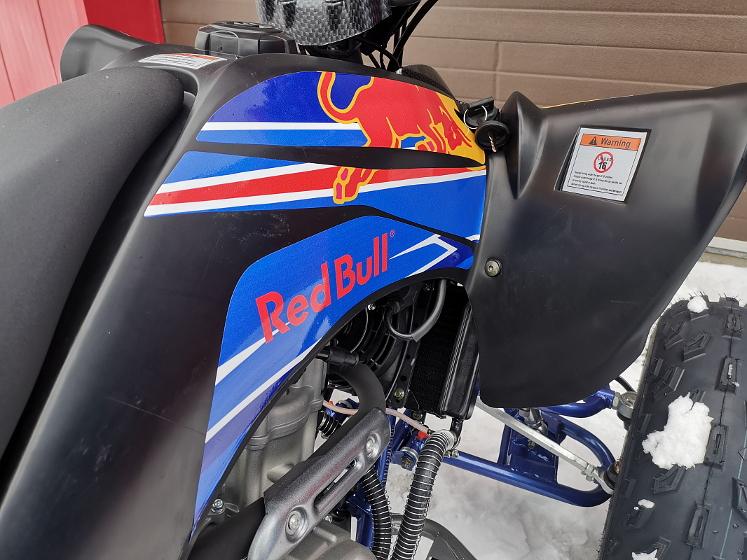 Квадроцикл PROMAX RAPTOR 300 NEW RedBull в Саранске