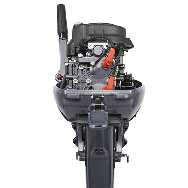 ЛОДОЧНЫЙ МОТОР ALLFA CG Т9,9 в Саранске