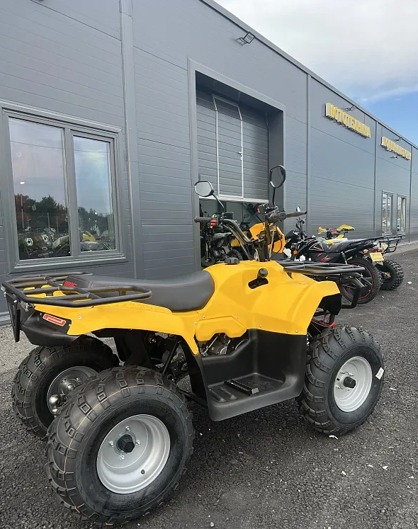КВАДРОЦИКЛ IRBIS ATV 250  в Саранске
