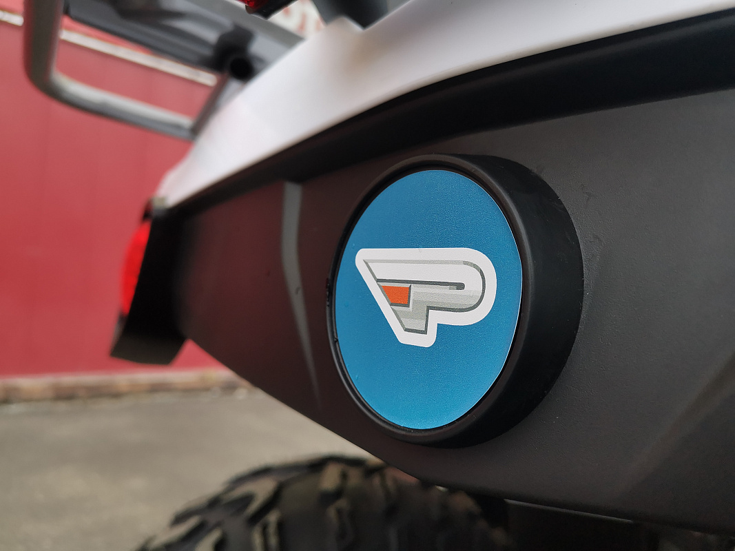 Квадроцикл PROMAX RENEGADE 280 LUX (2025) в Саранске