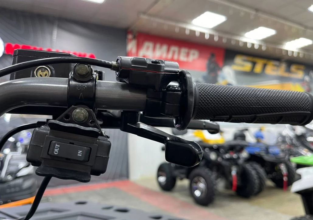 Квадроцикл PROMAX RENEGADE 300 LONG WINCH PRO (2025) в Саранске