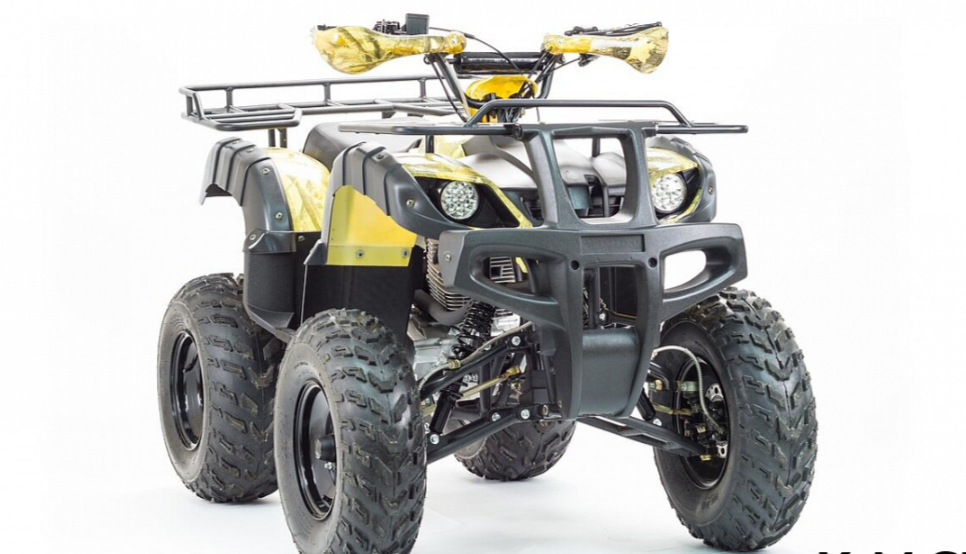 Квадроцикл MOTOLAND (МОТОЛЕНД) 250 ADVENTURE в Саранске