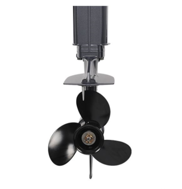 Лодочный мотор ALLFA CG Т40FW S в Саранске