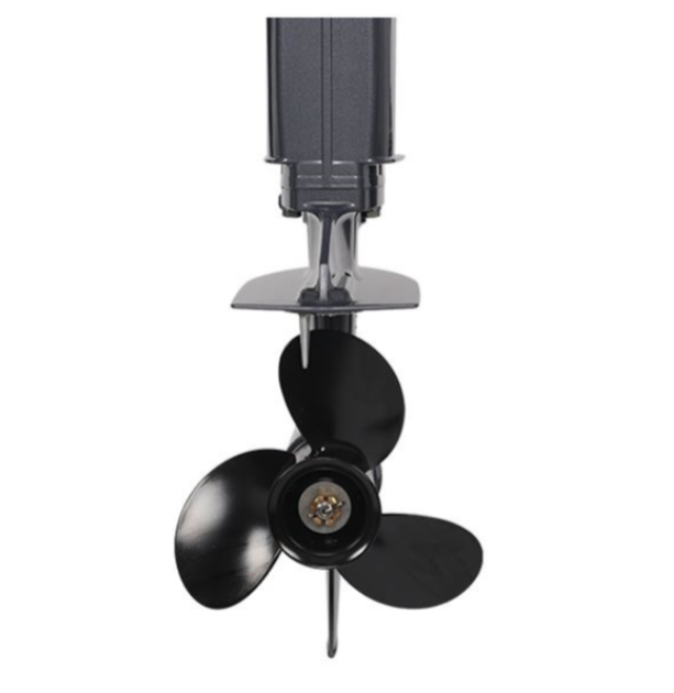 Лодочный мотор ALLFA CG Т40FWT S в Саранске