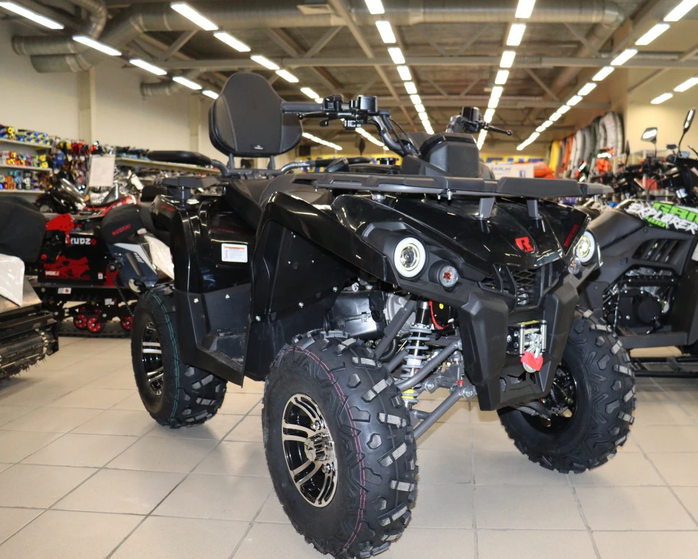 Квадроцикл PROMAX RENEGADE 300 LONG WINCH PRO (2025) в Саранске