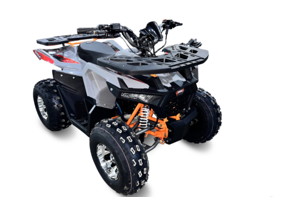 Квадроцикл GBM DAXTER 220 NEW PREMIUM в Саранске