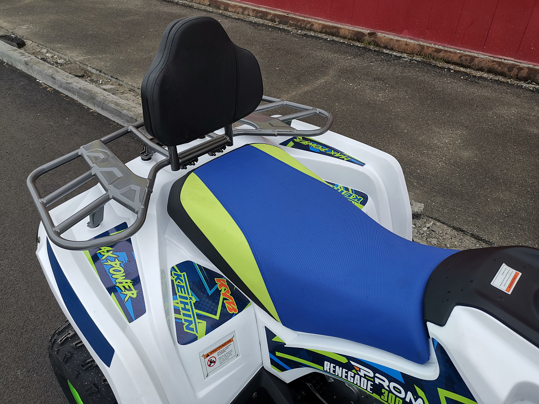 Квадроцикл PROMAX RENEGADE 280 LUX (2025) в Саранске