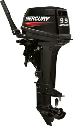 ЛОДОЧНЫЙ МОТОР MERCURY 9.9 MH TMC 247 CC в Саранске