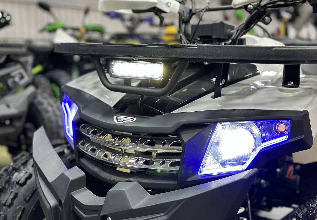 Квадроцикл PROMAX WILD 2.0 190 в Саранске