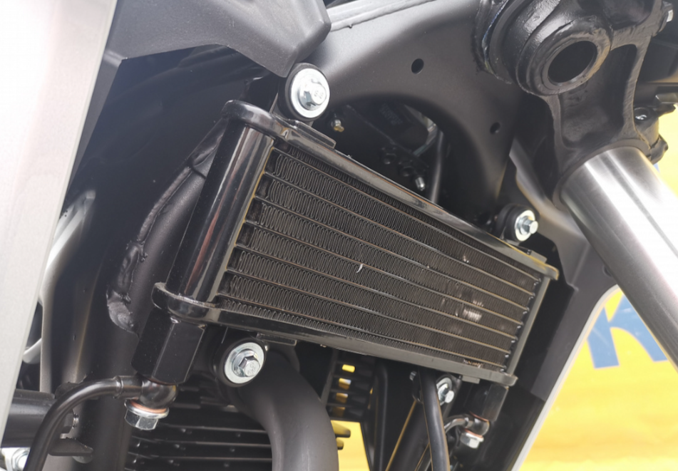 Мотоцикл MOTOLAND (МОТОЛЕНД) 250 CB250 (172FMM-5/PR250) (2022 г.) в Саранске