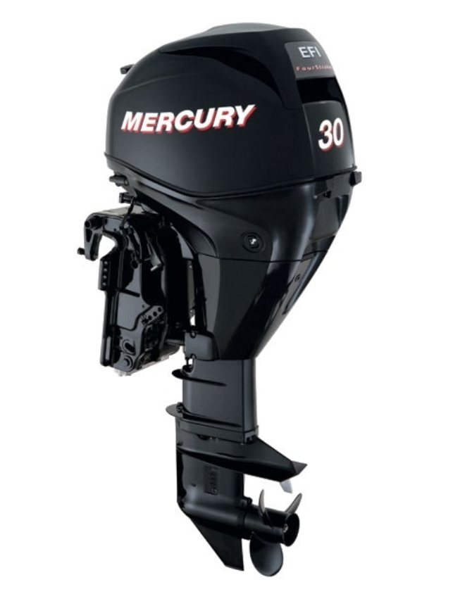 ЛОДОЧНЫЙ МОТОР MERCURY  F 30 ELH GA EFI в Саранске