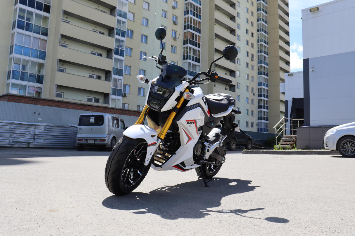 Мотоцикл PROMAX STRYKER 200(49) 2.0 в Саранске