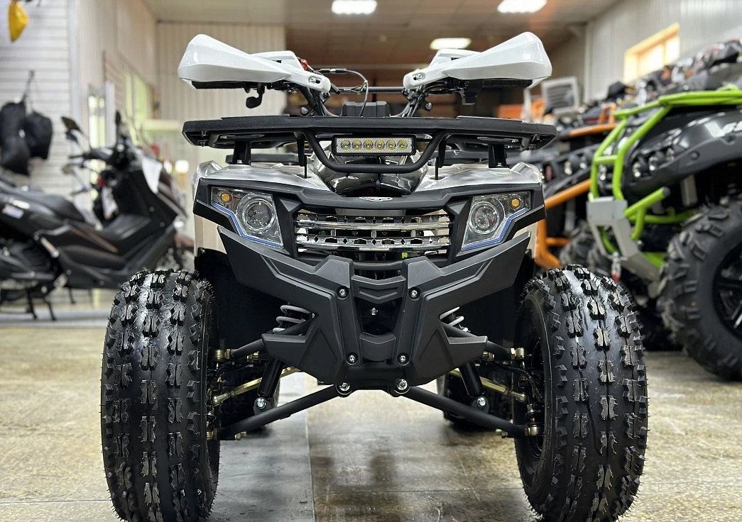 Квадроцикл PROMAX WILD 2.0 190 в Саранске