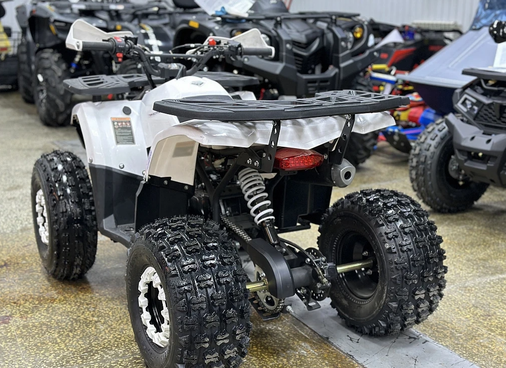 Квадроцикл PROMAX WILD 2.0 190 в Саранске