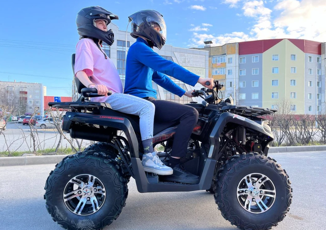 Квадроцикл PROMAX RENEGADE 300 LONG WINCH PRO (2025) в Саранске