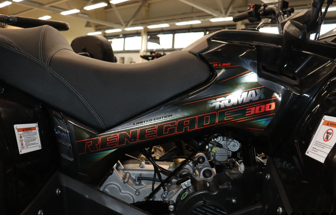 Квадроцикл PROMAX RENEGADE 300 LONG WINCH PRO (2025) в Саранске
