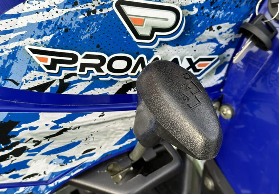  Квадроцикл PROMAX ATV 250 MAX (2025) в Саранске