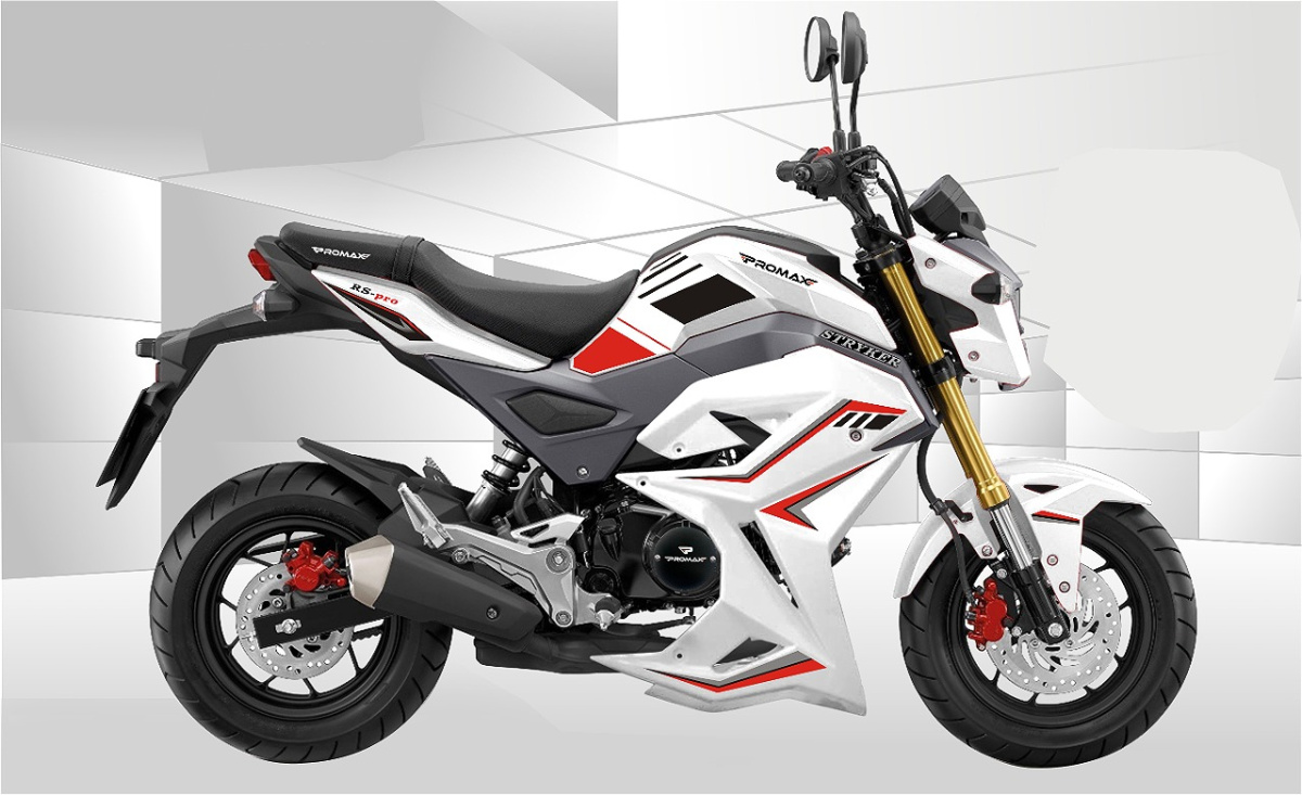 Мотоцикл PROMAX STRYKER 200(49) 2.0 в Саранске