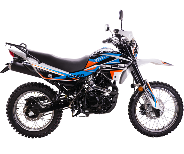 Мотоцикл Racer RC250GY-C2 Panther в Саранске