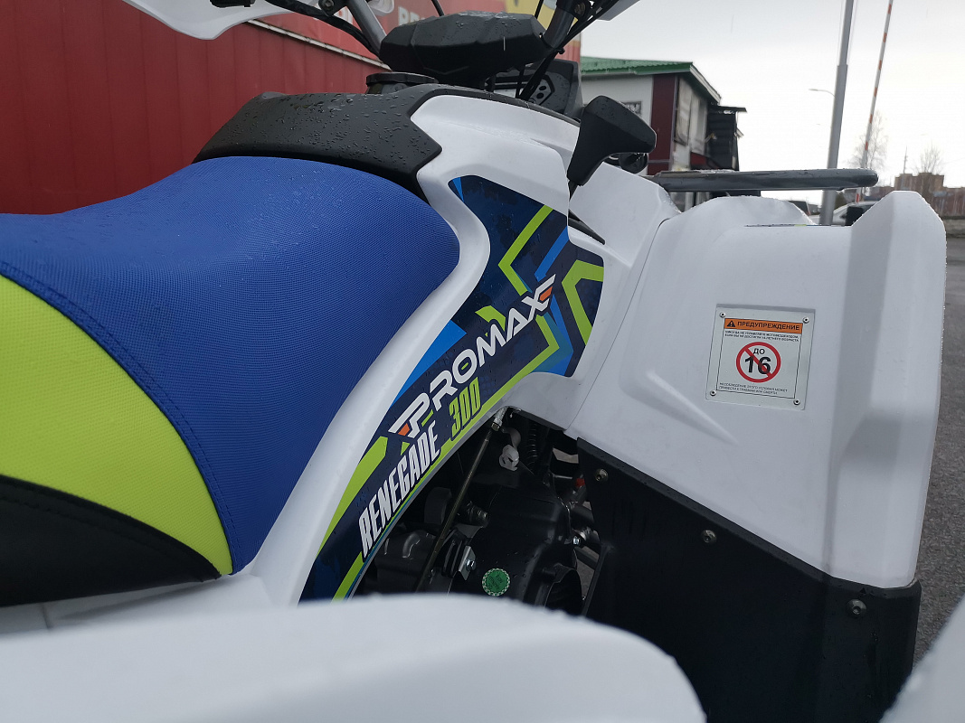 Квадроцикл PROMAX RENEGADE 280 LUX (2025) в Саранске