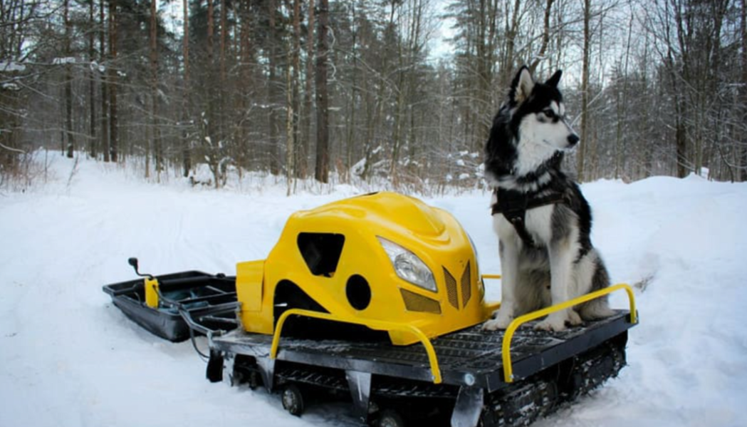 Мотобуксировщик LEBEDEV MOTORS ВОЛКОДАВ POWER V13 в Саранске