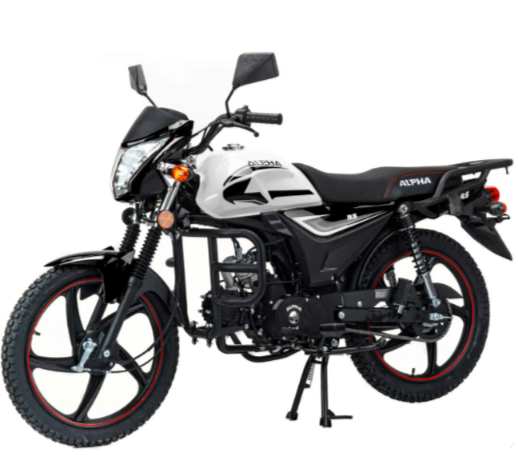 Мопед MOTOLAND (МОТОЛЕНД) Альфа RS 11 (LM48-B) в Саранске