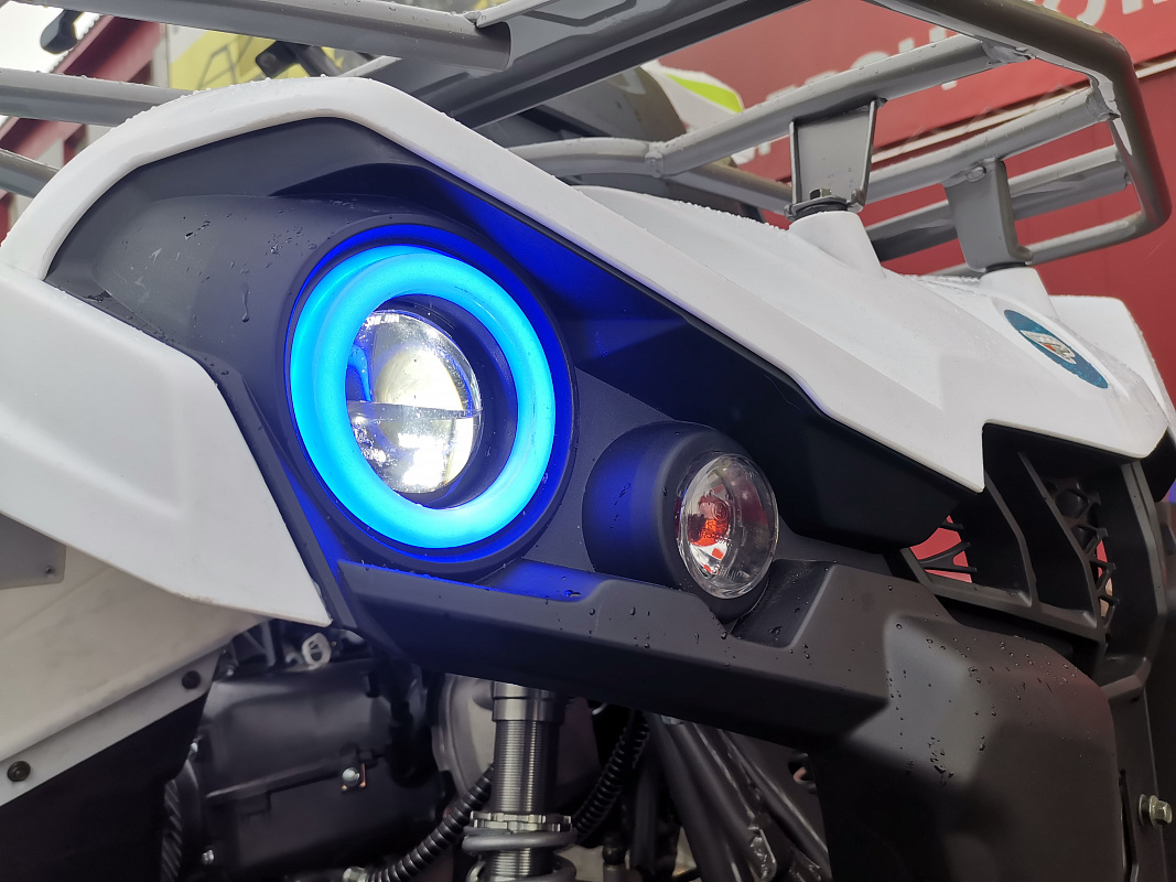 Квадроцикл PROMAX RENEGADE 280 LUX (2025) в Саранске