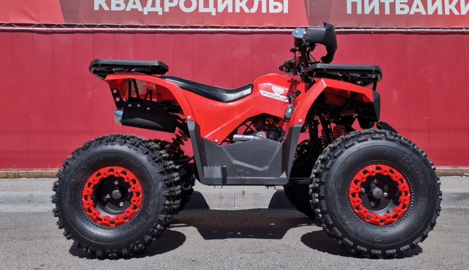 Квадроцикл PROMAX WILD 175 BASIC в Саранске