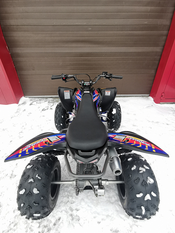 Квадроцикл PROMAX RAPTOR 300 NEW RedBull в Саранске