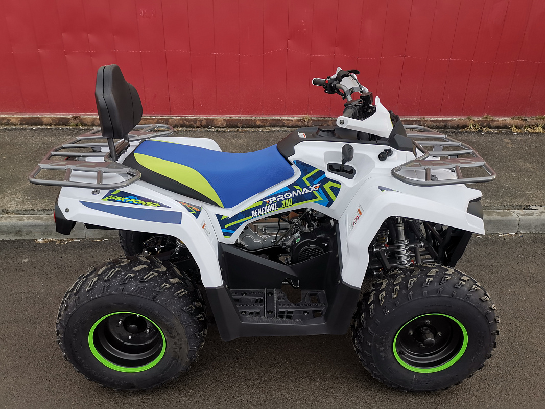 Квадроцикл PROMAX RENEGADE 280 LUX (2025) в Саранске