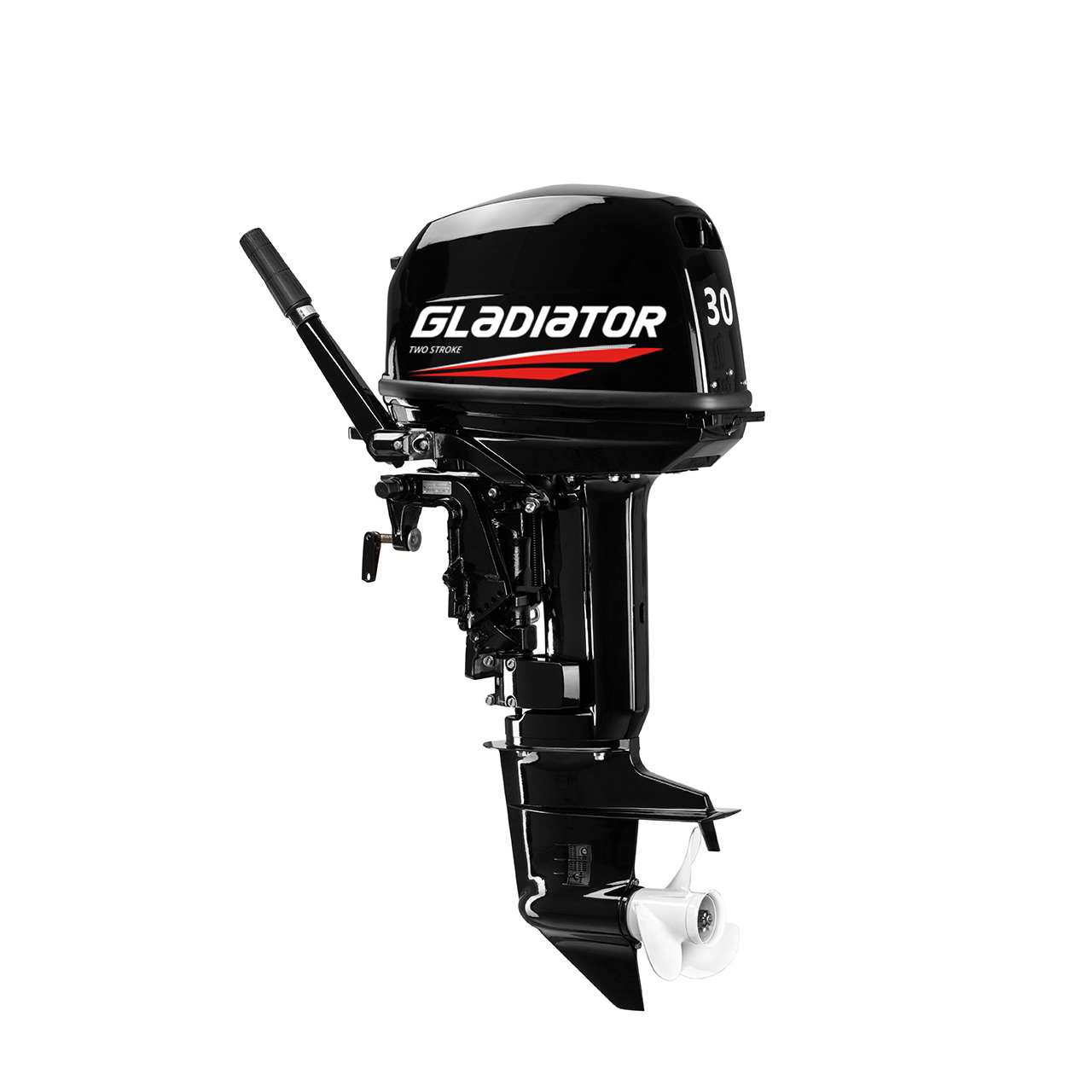 ЛОДОЧНЫЙ МОТОР GLADIATOR G30FHS в Саранске