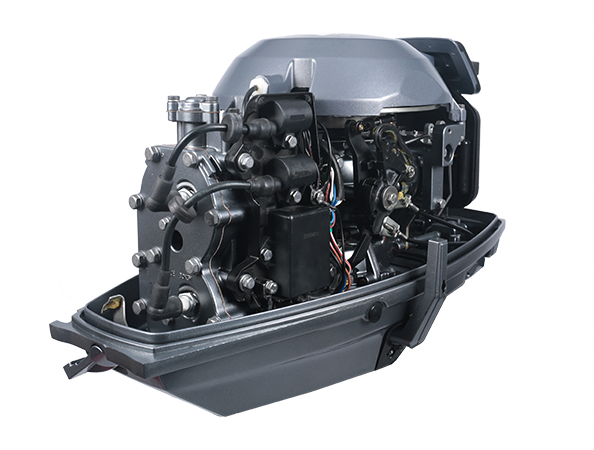 ЛОДОЧНЫЙ МОТОР ALLFA CG T30 FW S в Саранске