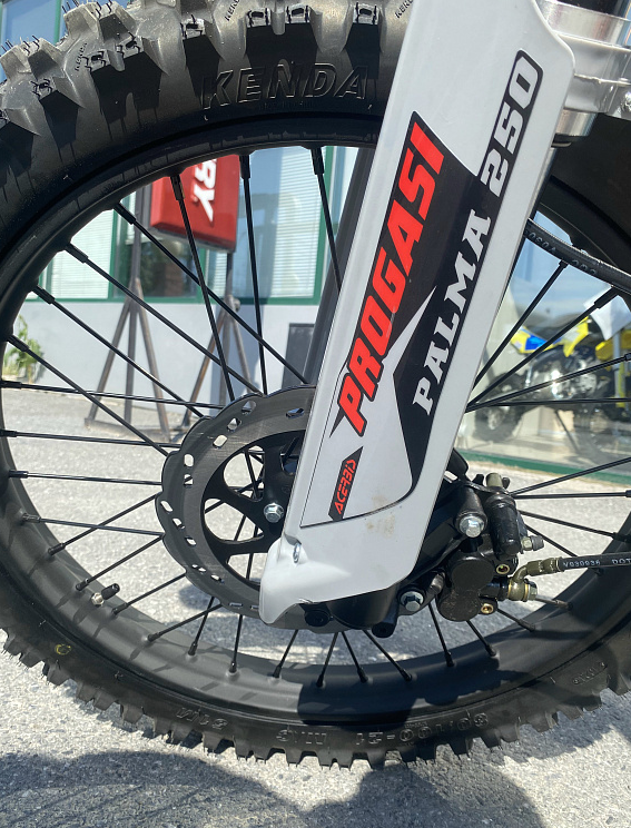 Мотоцикл Progasi PALMA 300 NEW (CB300F) в Саранске