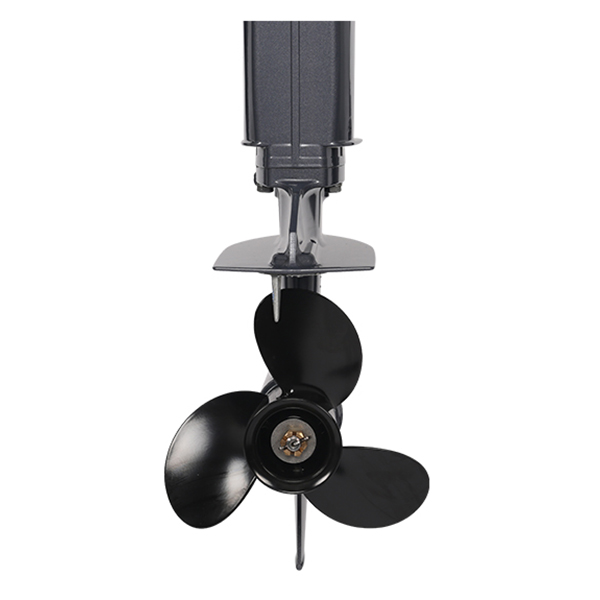 ЛОДОЧНЫЙ МОТОР ALLFA CG Т20 в Саранске