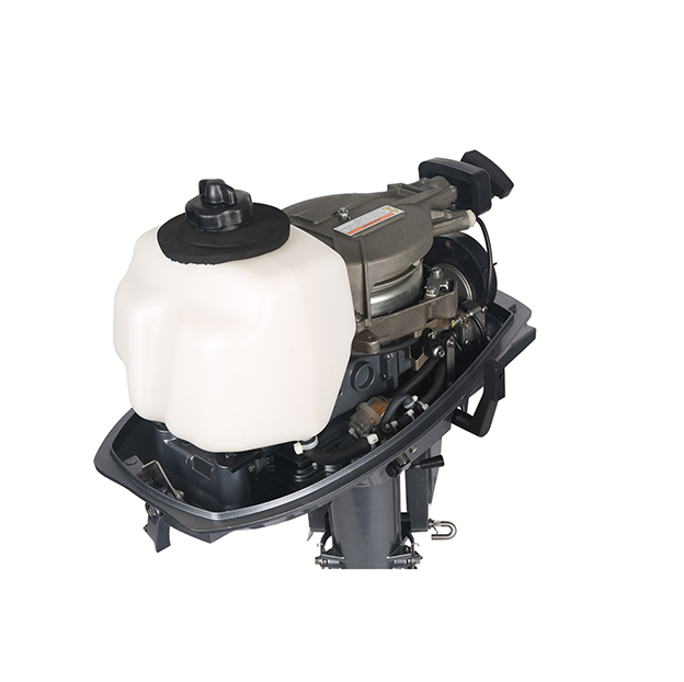 ЛОДОЧНЫЙ МОТОР ALLFA CG T5 в Саранске