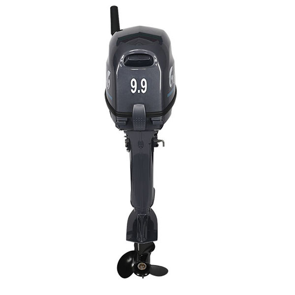 Лодочный мотор ALLFA CG Т9.9(20)MAX в Саранске